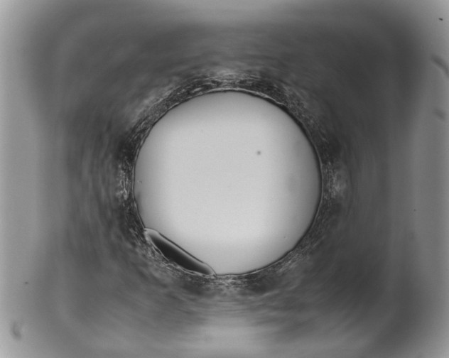 X0000099511253200806051139