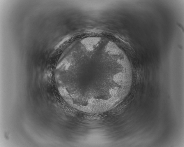 X0000099511254200806051139