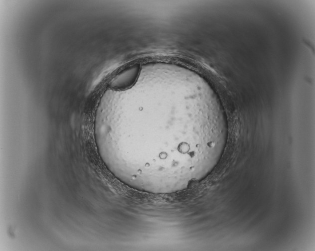 X0000099511255200806051138