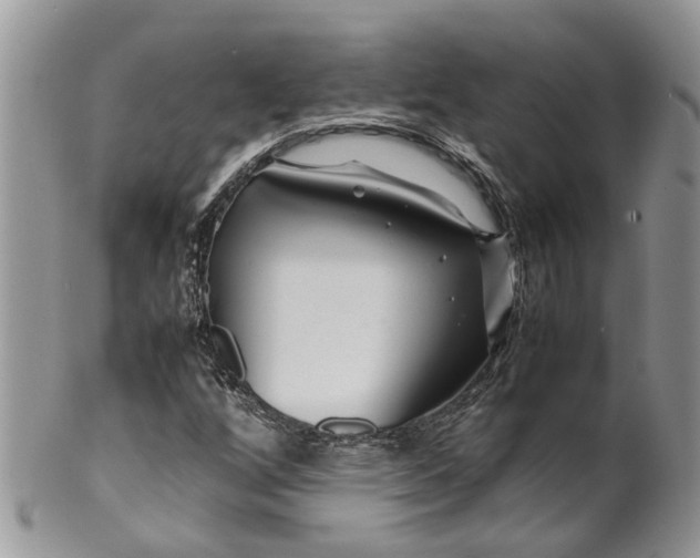 X0000099511256200806051138