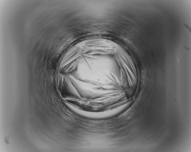 X0000099511257200806051138