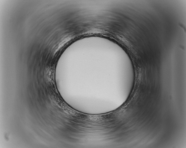 X0000099511258200806051138