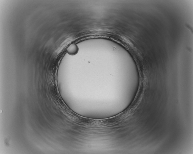 X0000099511259200806051138