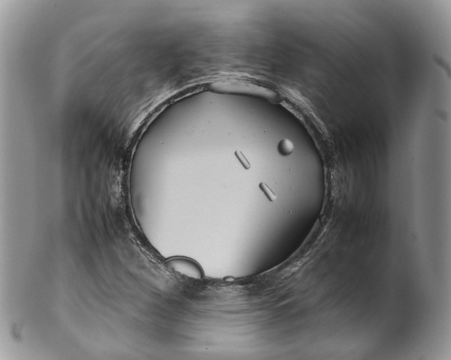 X0000099511260200806051138