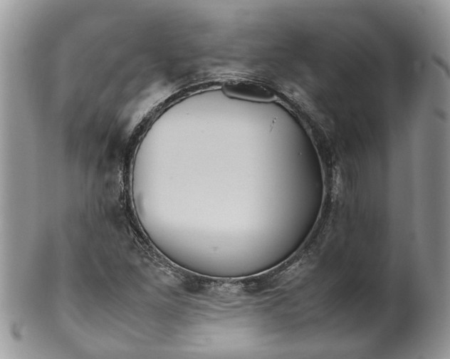 X0000099511261200806051138