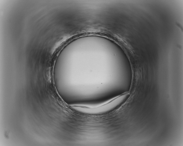 X0000099511262200806051138