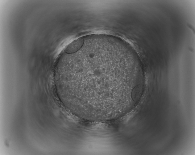 X0000099511263200806051138