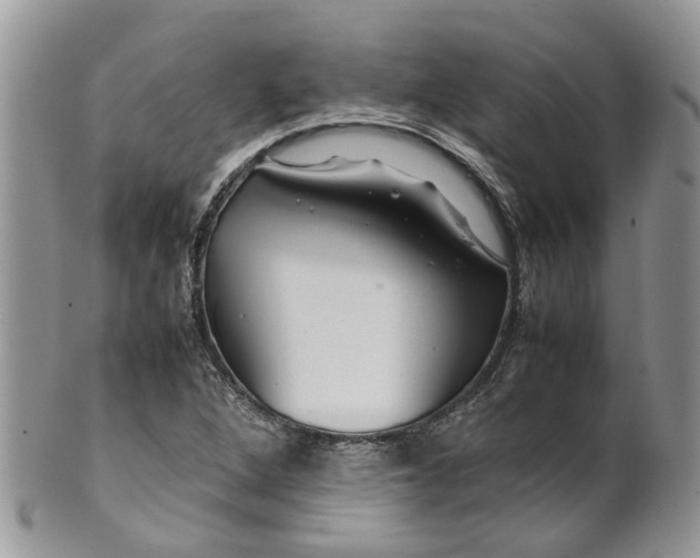 X0000099511264200806051138