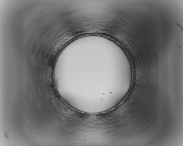 X0000099511265200806051138