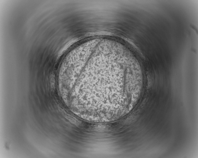 X0000099511266200806051138