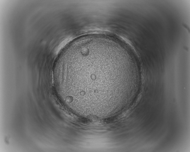 X0000099511267200806051138