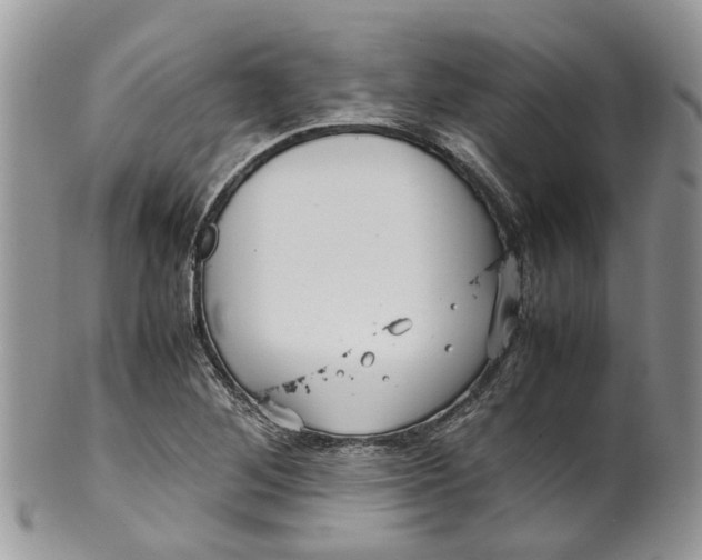 X0000099511268200806051138