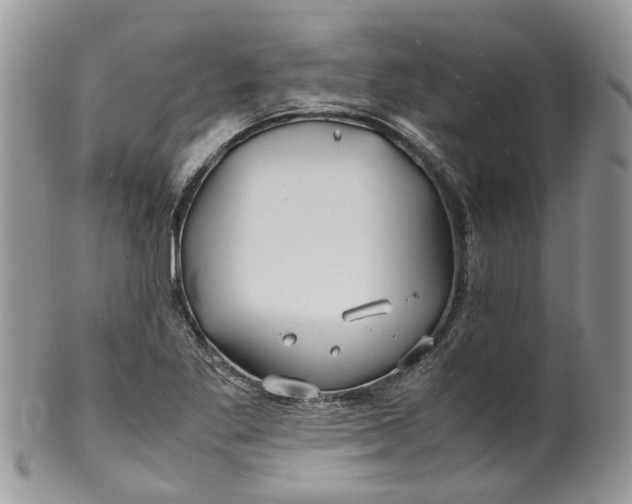 X0000099511269200806051138