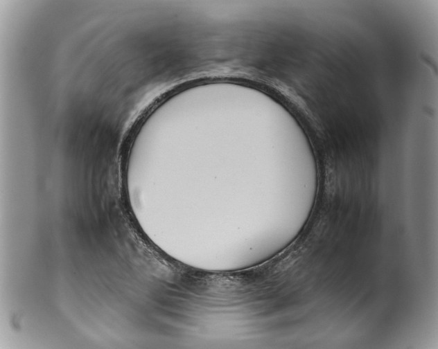 X0000099511270200806051138