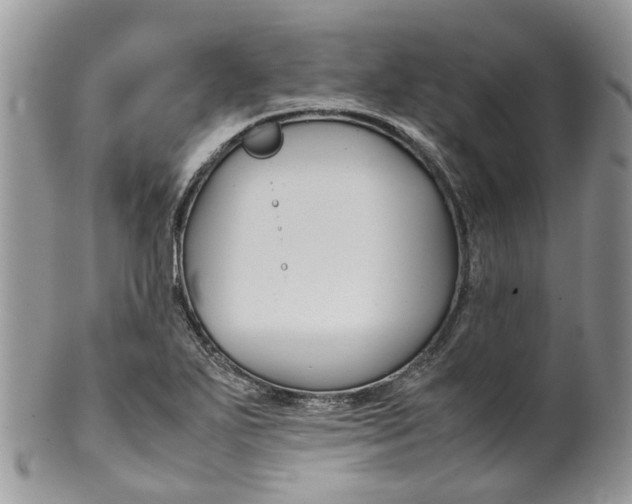 X0000099511271200806051138