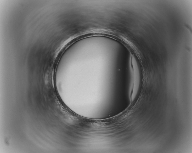 X0000099511272200806051138