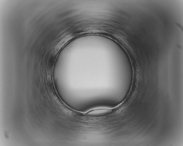 X0000099511273200806051138