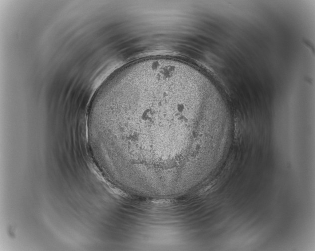 X0000099511274200806051138