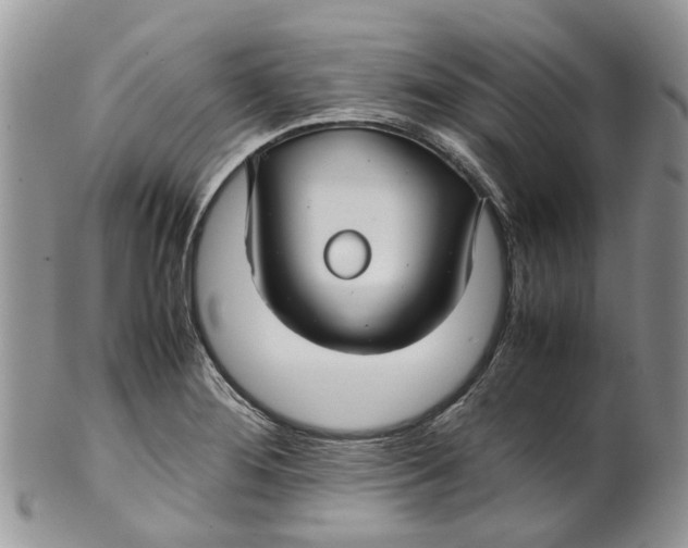 X0000099511276200806051138