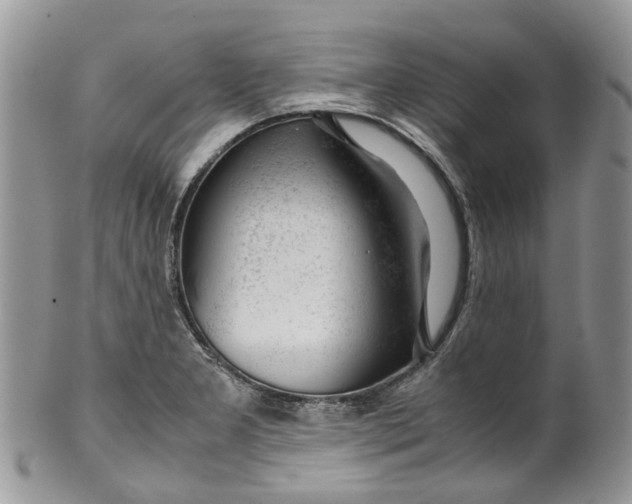 X0000099511277200806051138