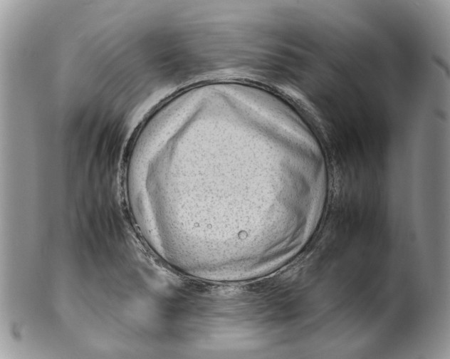 X0000099511278200806051138