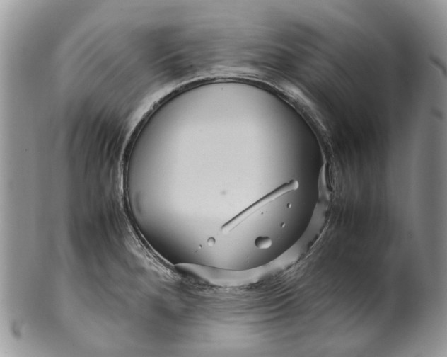 X0000099511280200806051138