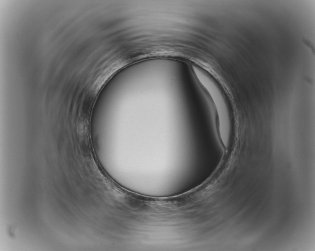 X0000099511281200806051138