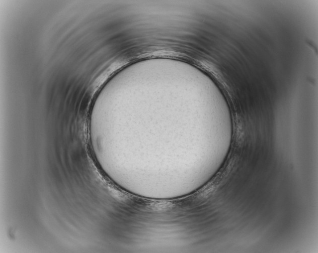 X0000099511282200806051138