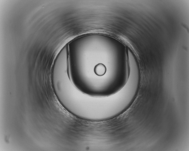 X0000099511284200806051138