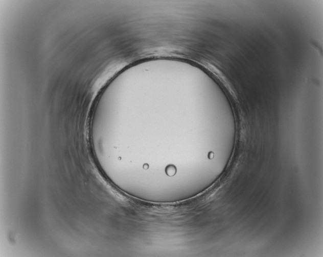 X0000099511285200806051138