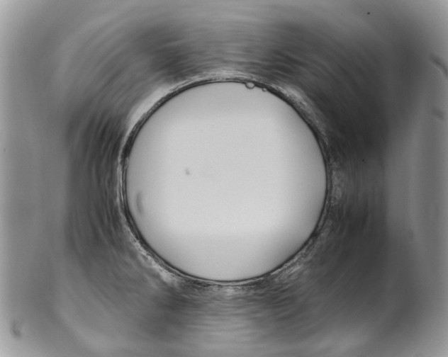 X0000099511286200806051138