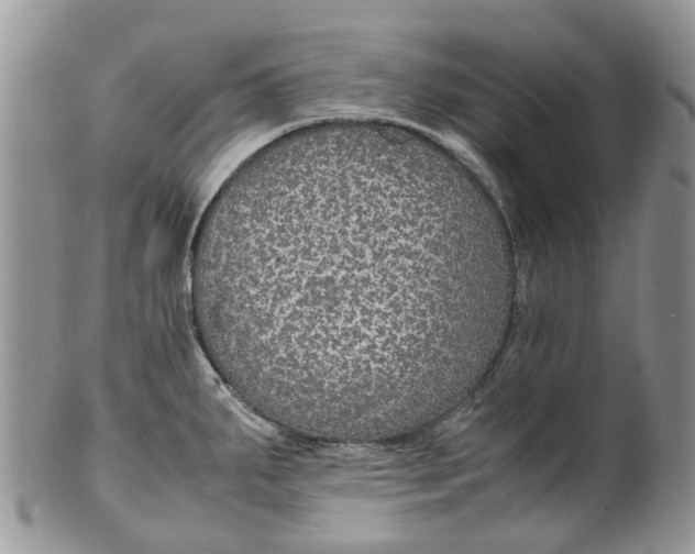 X0000099511287200806051138