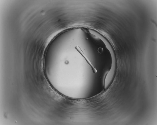 X0000099511288200806051138