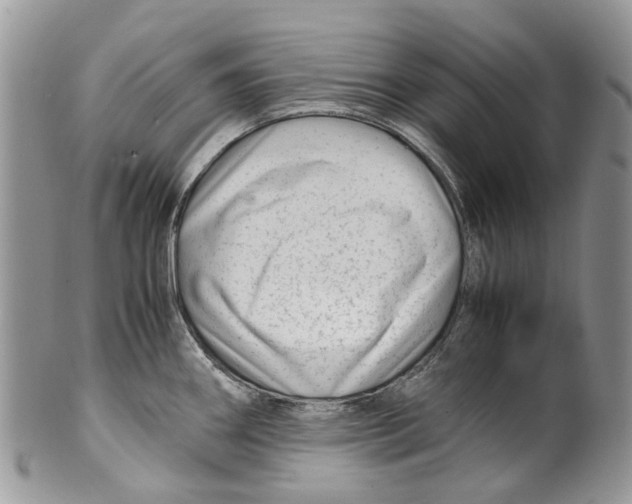 X0000099511290200806051138