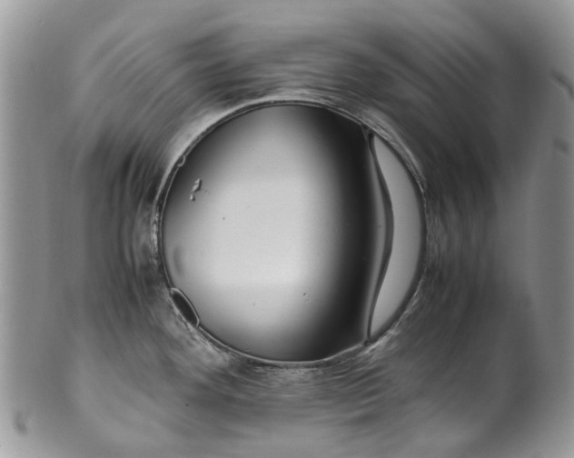 X0000099511292200806051138