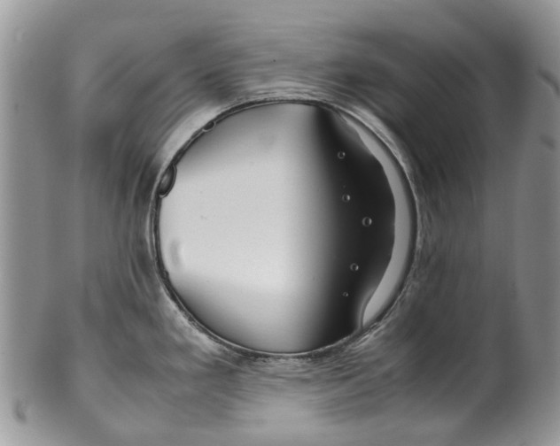 X0000099511293200806051138