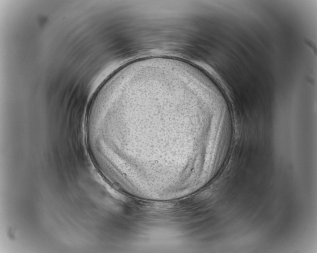 X0000099511294200806051138