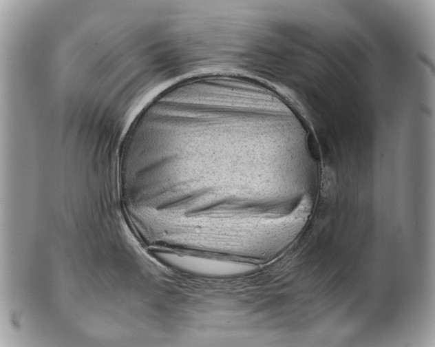 X0000099511295200806051138