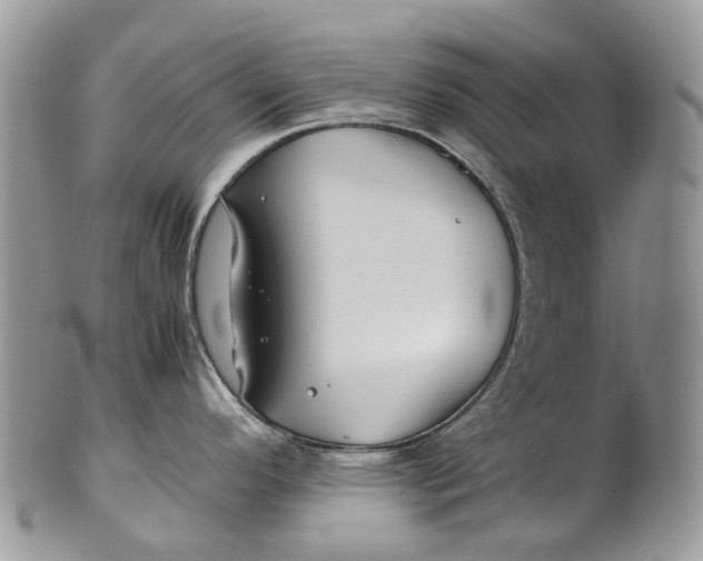 X0000099511296200806051138