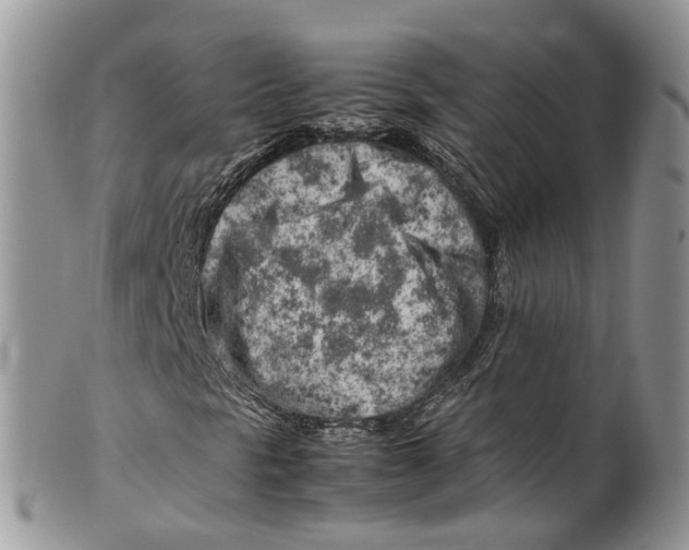 X0000099511297200806051137