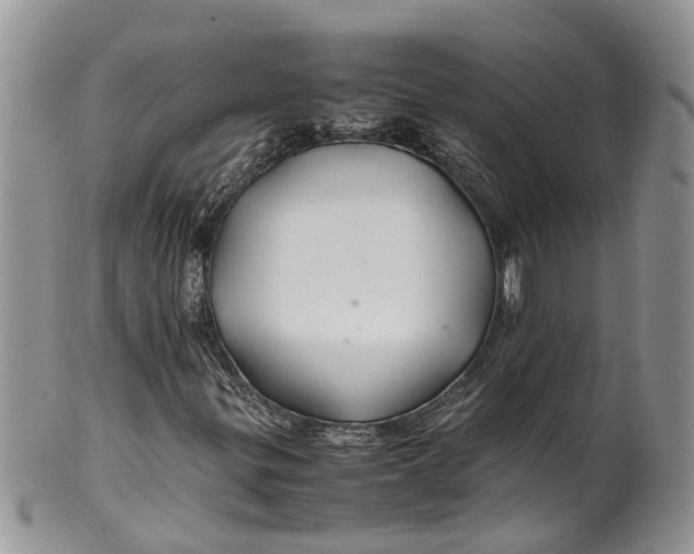 X0000099511299200806051137