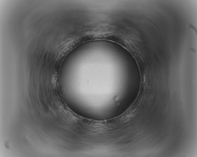 X0000099511300200806051137