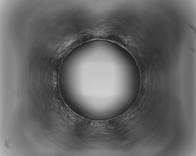 X0000099511301200806051137