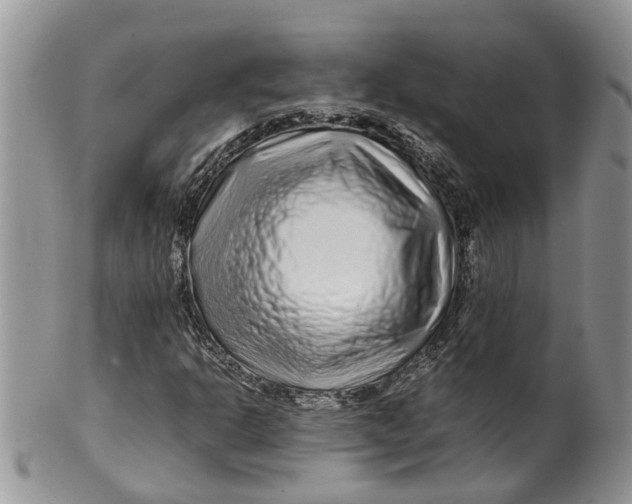 X0000099511302200806051137