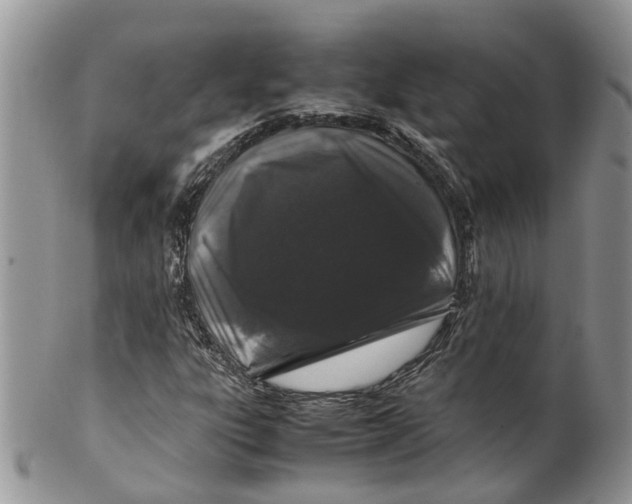 X0000099511303200806051137