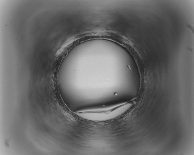 X0000099511304200806051137