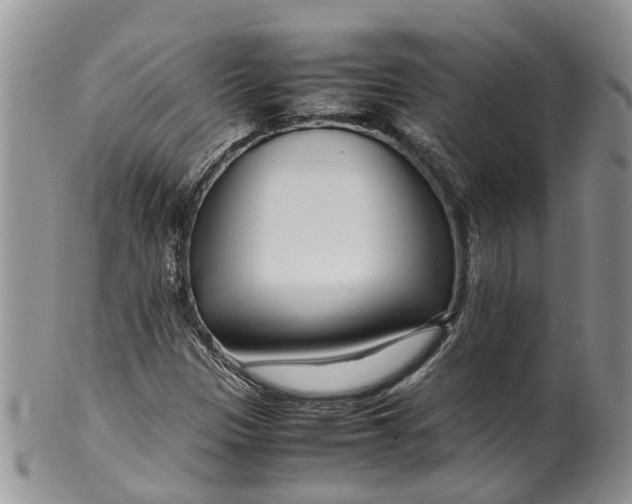 X0000099511305200806051137