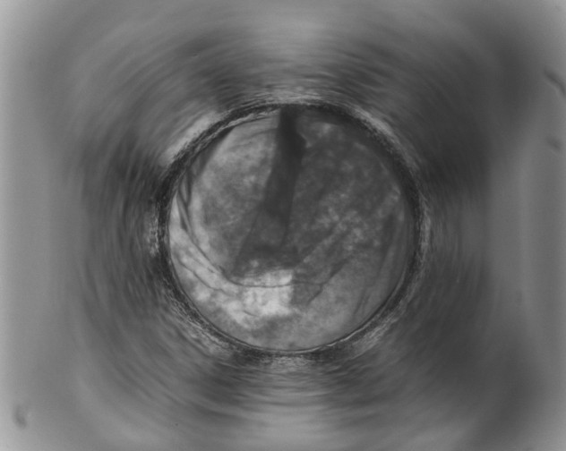 X0000099511306200806051137