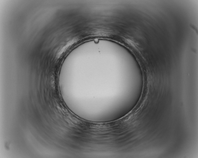 X0000099511307200806051137