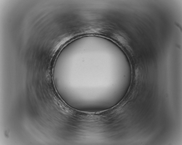 X0000099511308200806051137